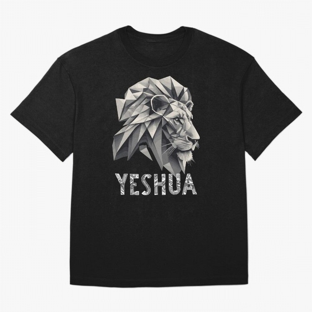 ILUSTRACI¨®N DE LE¨®N CRISTALIZADO YESHUA Oversized T-Shirt Follow the Road to FIFA World Cup 2026 Group Stage Centered on Mbappe, England, France and Netherlands Energy, Tournament Hype, Historic Matchups, Family Viewing Parties and Global Sports